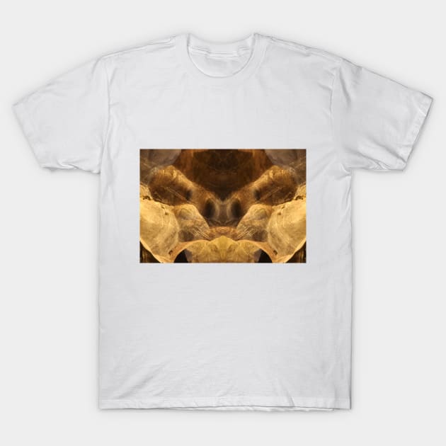 Inner mirror collage from a dog snout T-Shirt by kall3bu